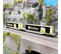 Wagon porte-conteneurs double Sggmrs, «Warsteiner», AAE, Ep. VI, ROCO 6600320, H