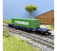 Wagon porte-conteneurs type Sgnss, conteneur 40 pieds «EVERGREEN», RailRelease B
