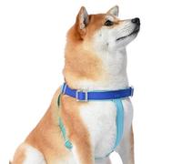 Wags & Wiggles Harnais imperméable en PVC Tricolore - Grand | Harnais imperméable en PVC Bleu Marine et Jaune pour Chiens | Parfait pour l'été Piscine ou lac Amusant avec Les Chiens - Élégant et