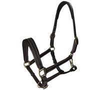 WAHL-Hausmarke Licol TenderMe, en cuir rembourrage extra doux Cob = Pur-sang