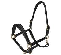 WAHL-Hausmarke Licol TenderMe, en cuir rembourrage extra doux Cob = Pur-sang