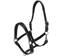 WAHL-Hausmarke Licol TenderMe, en cuir rembourrage extra doux Cob = Pur-sang