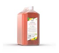 WAHL Shampooing pour Animal Domestique