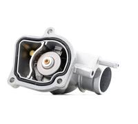 WAHLER 410174.92D Thermostat d'eau