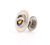 WAHLER 4264.87D Thermostat d'eau