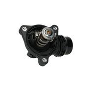 WAHLER 4337.105D Thermostat d'eau