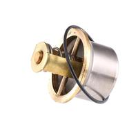 Thermostat d'eau WAHLER 4621.80D