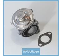 WAHLER 7271D Vanne EGR