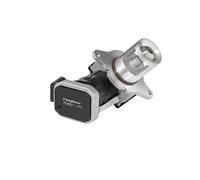 Wahler 7625D Vanne Egr