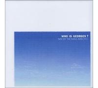 Wai Wan / Bebel Gilberto / Banbarra a.o - Who Is Georges ?