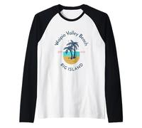 Waipio Valley Beach Big Island Hawaï Manche Raglan