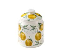 WAIT FLY Boîte à thé en céramique de grande capacité pour thé, café, herbes, sucre, épices, noix, citron - 935,5 g