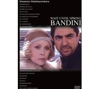 WAIT UNTIL SPRING BANDINI-VN G
