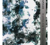 Waiting for the Challenge