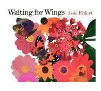Waiting for Wings Lois Ehlert (Auteur)