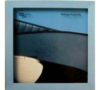 Waiting Hopefully (Deep Dish Mix) - D*Note 2X12"