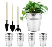 WAIZHIUA Lot de 12 pots de fleurs en métal galvanisé de 12 cm avec mini outils pour plantes, herbes, fleurs, arbustes, intérieur et extérieur, bricolage