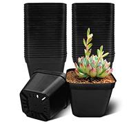 WAIZHIUA Lot de 50 pots de fleurs carrés en plastique de 10 cm pour plantes grasses, fruits, légumes, semis
