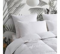 Wake Me Green - Oreiller Ferme Marcel 50x75 cm - 10% Duvet 90% Plumettes Recyclés de Canard et Oie - Enveloppe 100% Coton - Thermo Régulant - Lavable à 40°