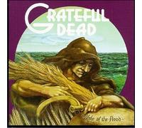 Wake of the Flood by Grateful Dead