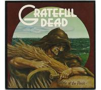Wake Of The Flood [Vinilo]