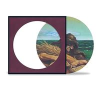 The Grateful Dead – Wake of the Flood – Vinyle