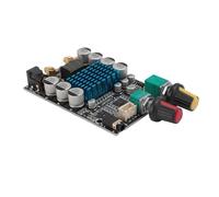Wakects Carte Amplificateur de Subwoofer 100W Mono, Module Numérique 12-24V pour Système