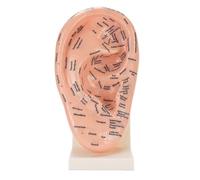Wakects Modèle de Points D’acupuncture Auriculaire, Carte Auriculaire Acupoint, Outil Pédagogique ABS avec étiquettes Claires et Support pour Salon de beauté, école de Massage,