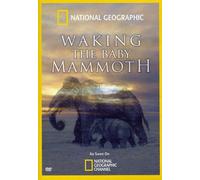 Waking The Baby Mammoth