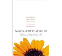 Waking Up to What You Do: A Zen Practice for Meeting Every Situation with Intelligence and Compassion