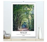 Wald - bezaubernde Landschaften (hochwertiger Premium Wandkalender 2026 DIN A2 hoch), Kunstdruck in Hochglanz: Wunderschöne Bilder aus dem Wald.