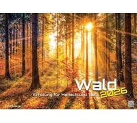 Wald - Erholung für Mensch und Tier - 2026 - Kalender DIN A3: Der Wandkalender mit den schönsten Motiven unserer Wälder für das Jahr 2026 im Format DIN A3 (ca. 42 x 30 cm)!