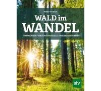 Wald Im Wandel