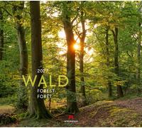 Wald Kalender 2027 | Hochwertiger Natur-Kalender im großen Querformat (54x48 cm) | Bäume und Pflanzenwelt im Wandel der Jahreszeiten