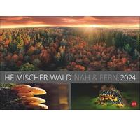 Wald nah und Fern Edition Kalender 2024