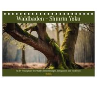 Waldbaden - Shinrin Yoku (Tischkalender 2026 DIN A5 quer), CALVENDO Monatskalender: In der Atmosphäre des Waldes entschleunigen, entspannen und entdecken