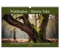 Waldbaden - Shinrin Yoku (Wandkalender 2026 DIN A3 quer), CALVENDO Monatskalender: In der Atmosphäre des Waldes entschleunigen, entspannen und entdecken
