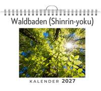 Waldbaden (Shinrin-yoku): Wandkalender 2027, Kalender DIN A4 quer, Monatskalender im Querformat mit Kalendarium, das perfekte Geschenk