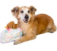 Waldemar Rutkowski Plush Dog Toy-Small Cake with Teddy Bear and Birthday Hat with Squeakers Inside (Z30045)