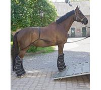 WALDHAUSEN Aide au Chargement, Noir