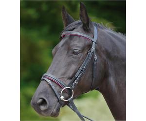 Waldhausen Bridon STAR Diamond complet avec rênes Full = Cheval