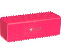 Waldhausen Brosse Ramasse-Poils - Rose