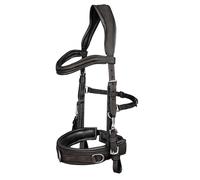 Waldhausen Caveçon ANATOMIC en cuir de forme anatomique Cheval / Full