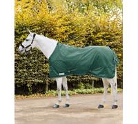 Waldhausen Couverture de Pluie ECONOMIC, Vert Sapin - 165 cm