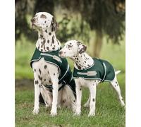 WALDHAUSEN Couverture imperméable pour chien Vert 70 cm