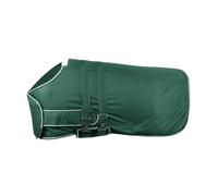 Waldhausen Couverture pour poulains 100g imperméable- vert sapin