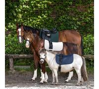 Waldhausen Felix Tapis de selle de dressage Noir Full Noir Full