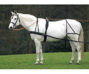 Waldhausen Harnais simple economic, Pony et Shetty poitrine robuste en cuir Cheval / Full