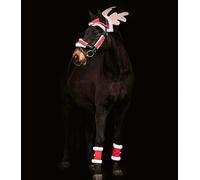 WALDHAUSEN Kit de Noël pour chevaux