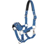 Waldhausen Licol de Longe Economic, Bleu Azur - Pur sang